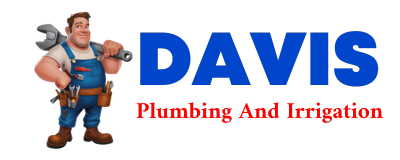 Trusted plumber in ANTONITO